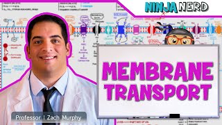 MEMBRANE PROTEINS  Types and Functions [upl. by Braden]