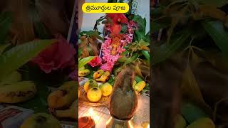 Trimurthula pooja Vidhanam l Trinadha swamy Vratam l అదివారం నాడు ఆచరించే పూజ [upl. by Blanc]