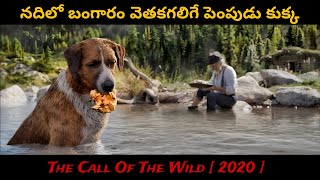 పేద ముసలాయనకి దొరికినా Super Intelligent కుక్క🐾✨  Adventure Movies In Telugu  Filmy Overload [upl. by Niveg]