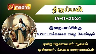 தமிழ் திருப்பலி  15112024  Holy Mass in Tamil  0600 AM  MADHA TV [upl. by Floris188]