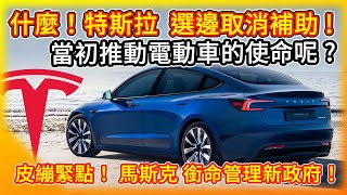 明年生變？特斯拉選邊 贊成取消電動車補助！馬斯克銜命整頓新政府！Tesla still support promoting EVs [upl. by Ingles]