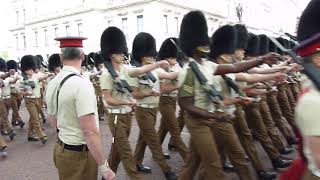 Rehearsal for the Trooping the Colour 2019 25 [upl. by Iidnarb]