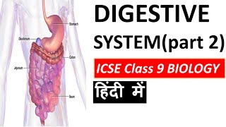 DIGESTIVE Systempart 2  ICSE Class 9 BIOLOGY [upl. by Sidky]