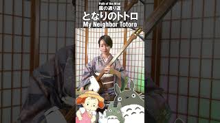 Learn Pass of the Wind from My Neighbor Totoro Ghibli Music [upl. by Goldshell611]