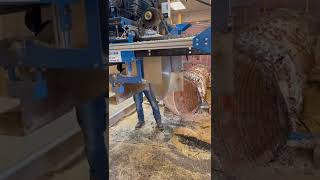 SB 1020 Swing Blade Saw Mill in action [upl. by Tuddor]