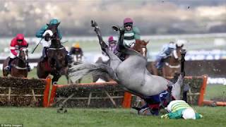 Top 5 worst jockey falls [upl. by Huey]