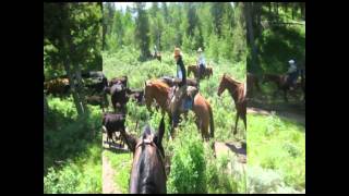 McGarry Ranches Video 4 [upl. by Aneeuqal]