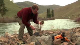 Roadside Geology  Yakima River Rocks [upl. by Mcnamee]