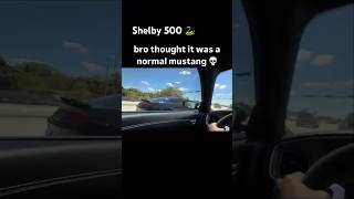 Hellcat pulls up next to Shelby 500 and got what he deserved 😂 hellcat shelby mustang [upl. by Camile]