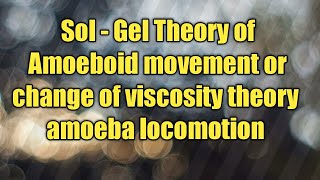 change of viscosity theory  amoeboid movement  sol  gel theory  locomotion in amoeba  amoeba [upl. by Amabil]