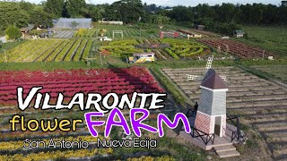 Villaronte Agri tourism Park Farm Sunflower Farm [upl. by Enimisaj]