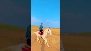 Epic Horse Riding Experience  Horse Riding for Fun and Freedom [upl. by Goldina]