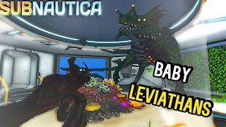 Subnautica  CAGED BABY LEVIATHANS NEW SEA EMPEROR ANIMATIONS amp SEA DRAGON BIG AS MAP  Gameplay [upl. by Dew]