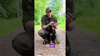 Kreislauf überprüfen beim Hund mit seinen Schleimhäuten ErsteHilfe am Hund [upl. by Iel94]