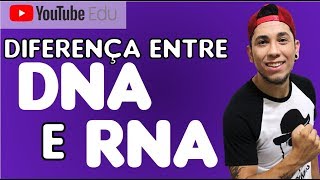 Aula 29 Diferenças entre DNA e RNA  Biologia com Patrick Gomes [upl. by Aisiram351]