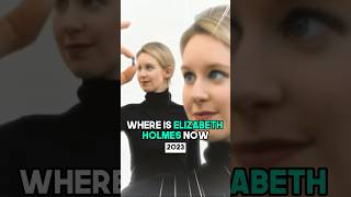 Elizabeth Holmes The Rise and Fall of A SelfMade Billionaire [upl. by Soelch186]