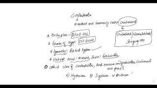 L2 ON COELENTERATA BY KN SIR [upl. by Eelhsa]