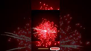 BEST CRACKLING SKY SHOTS 🔥🔥 Testing Crackers Diwali Stash 2024 skyshot crackers sonyfireworks [upl. by Chiaki]