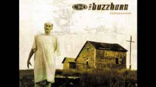 The Buzzhorn  Ordinary HQ Audio [upl. by Louls]