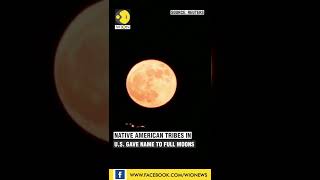 Strawberry Moon seen across the world  English News  WION Shorts [upl. by Akinahc]