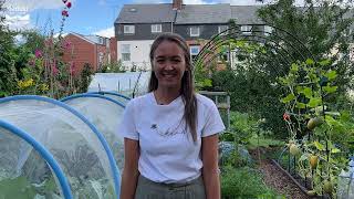 The best allotment in Sheffield 2022 [upl. by Gizela]