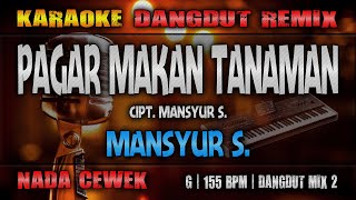 PAGAR MAKAN TANAMAN Karaoke Nada Wanita  Mansyur S  RoNz Karaoke Dangdut Remix [upl. by Leummas]