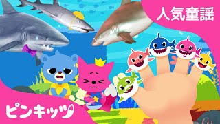 【BEST】ピンキッツ人気曲まとめ★  うんち体操 ・ リアルなサメのかぞく他  こどものうた  人気童謡  Pinkfong  ピンキッツ！ [upl. by Wittenburg974]