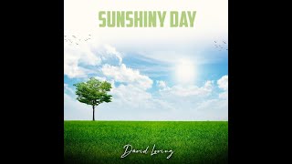 Sunshiny Day official lyric video [upl. by Hirza]