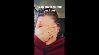 mold moldillness CIRS blackmold toxicmold aspergilluspenicillium chaetomium stachybotrys [upl. by Elyn988]