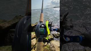 pesca pescando baitcasting Reels Fishing pesca fish pescadeportiva [upl. by Jandel]