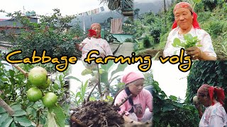 Day With AmlaCabbage FarmingTsheten Channel 🌼🌸 [upl. by Fast]