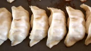 MARUKO GYOZA  How to pan fry Maruko Gyoza [upl. by Yniffit614]