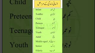 Stages of Human Life Explained  AgeBased Life Stages in English amp Urdu [upl. by Keyte]