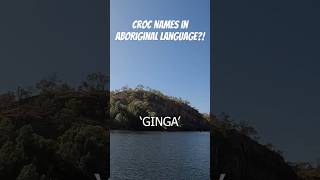 What Do Aboriginal People Call Different Crocodile Species [upl. by Mariann]