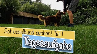 Hundetraining Online  Schlüssel suchen Teil 1 [upl. by Muriah]