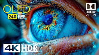 Mind Blowing OLED Dolby Vision  4K HDR 240 fps [upl. by Eeram735]