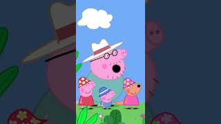 Peppa has a Boomerang PeppaPig Shorts [upl. by Lieno]