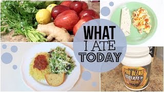 WHAT I ATE TODAY  LACTOOVO VEGETARIAN [upl. by Nilyac]