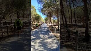 ☀️🌴🌲🚶🏼Parque Alfonso XIII  Alfonso XIII Park  Guardamar del Segura Spain  España 🇪🇦 [upl. by Jet]