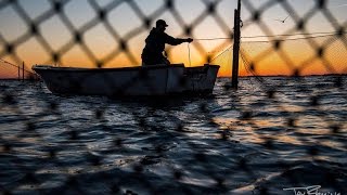 Chesapeake Bay Pound Netting [upl. by Tsew]