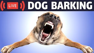 Dog Barking Sound  Dogs Barking Live Bark [upl. by Lucita]