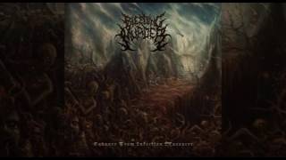 Bleeding Murder  Cadaver From Infection Massacre Full EP 2016 [upl. by Kallista]