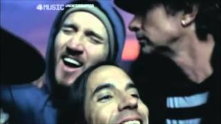 Red Hot Chili Peppers  Desecration Smile Alternative Video [upl. by Notyep]