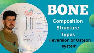 Bone tissue Structure and Composition MDCAT Biology Bone anatomy and Physiology Zia Academy [upl. by Keligot83]