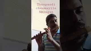 thenpandi cheemayile flute sad nayagan ilayaraja kamalhaasan [upl. by Botzow]