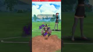 Mega blastoise vs dragonite pvp [upl. by Alidus]