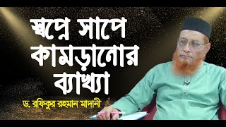 স্বপ্নে সাপে কামড়ালে কি হয়  ইসলামী প্রশ্ন ও উত্তর  Bangla Waz  ড রফিকুর রহমান মাদানী [upl. by Eidnam]