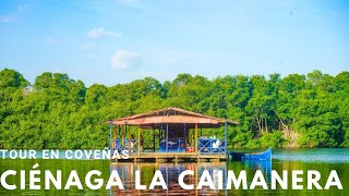 Tour Ciénaga la Caimanera Coveñas Colombia [upl. by O'Neil234]