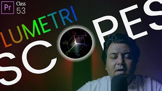 Understanding LUMETRI SCOPES in Premiere Pro  Class 53  Life In Layers [upl. by Llebiram868]