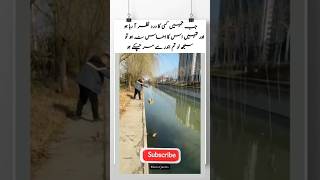 Save The Creatures Of God  Makhlooq ParRehm ytshorts urduquotes creatures avestatuS [upl. by Armallas]